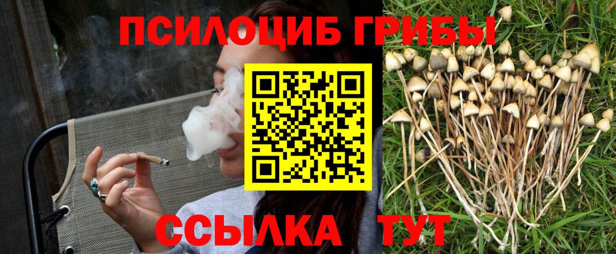 Галлюциногенные грибы Psilocybine cubensis  Вход с VPN  Баксан 