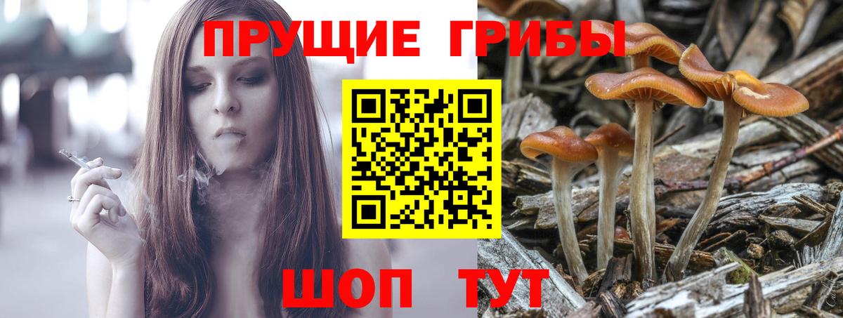 Галлюциногенные грибы прущие грибы Баксан